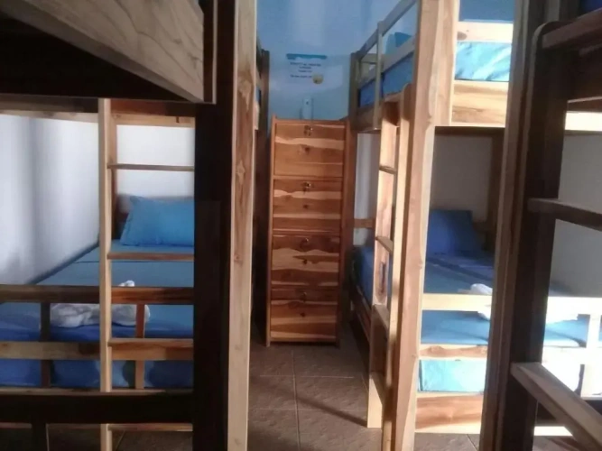 Bed in Dorm