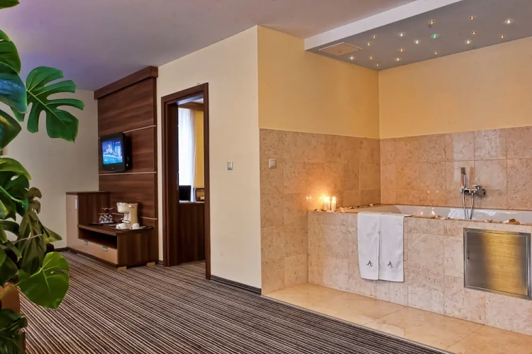 Superior Double Apartment with city view