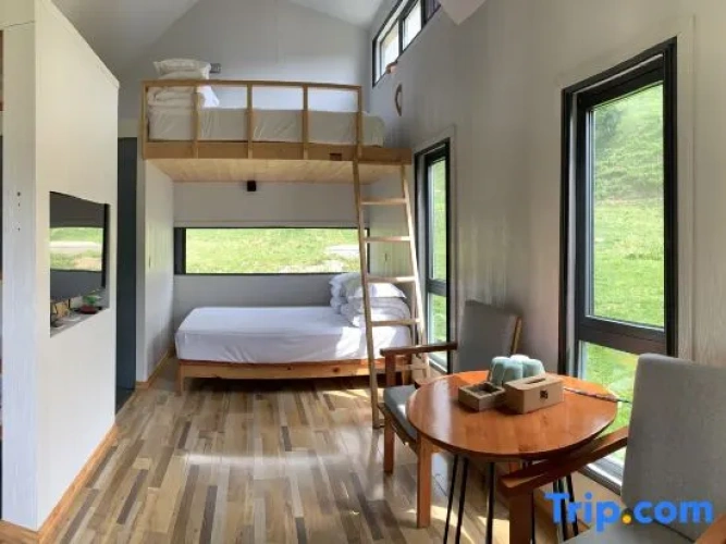 Bed in Dorm