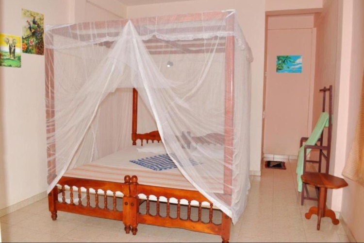 Standard Double room with balcony and with view