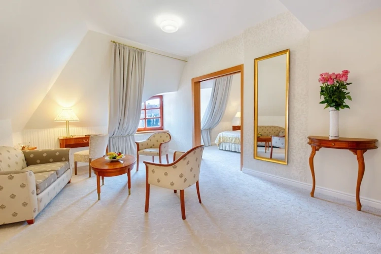 1 Bedroom Luxury Suite with city view