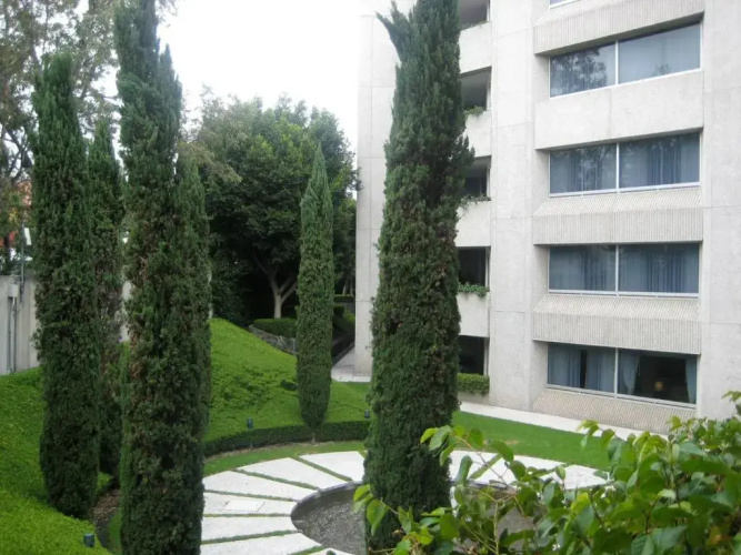 Royal Pedregal Hotel