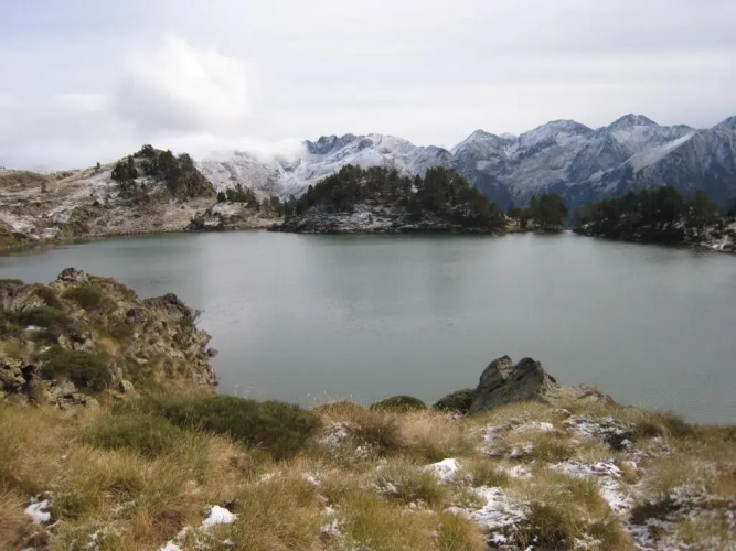 La Morera