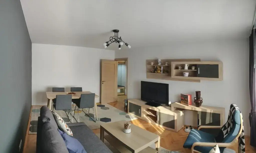 Modern and Cozy Apartment
