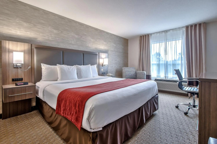 Comfort Inn And Suites South