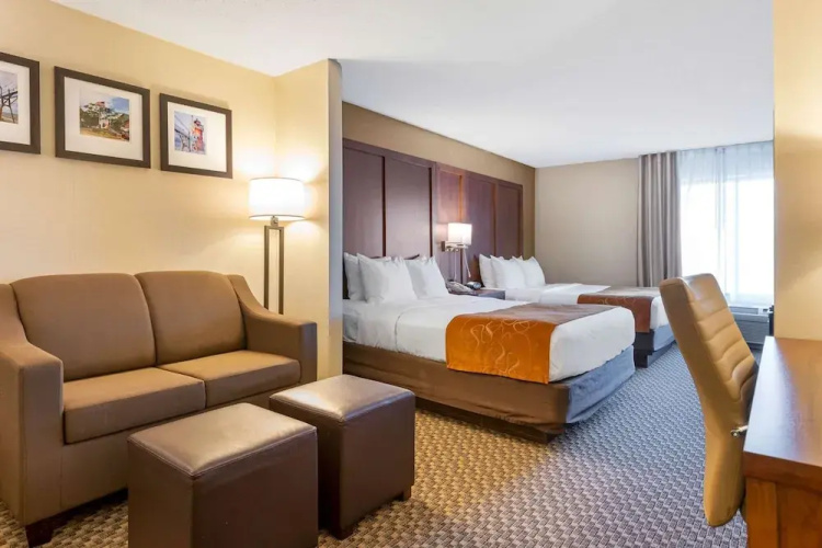 Comfort Suites South Haven Area