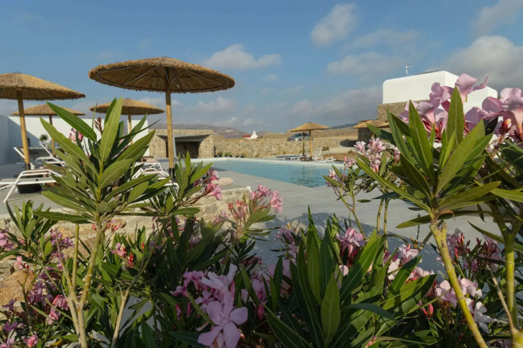 Alirene Mykonos