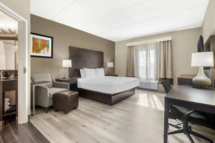 Standard Double room