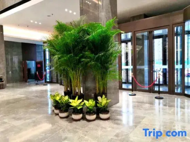 Wandu Hotel