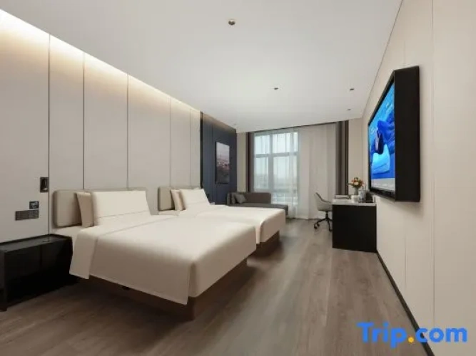 Executive Twin room