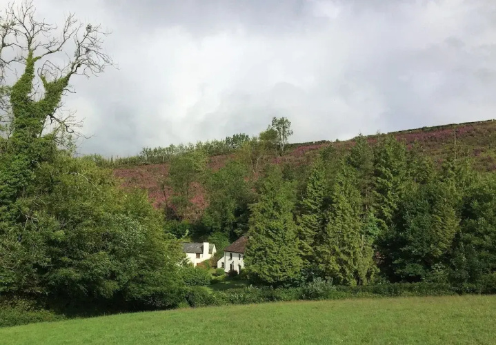Hedgehog Cottage