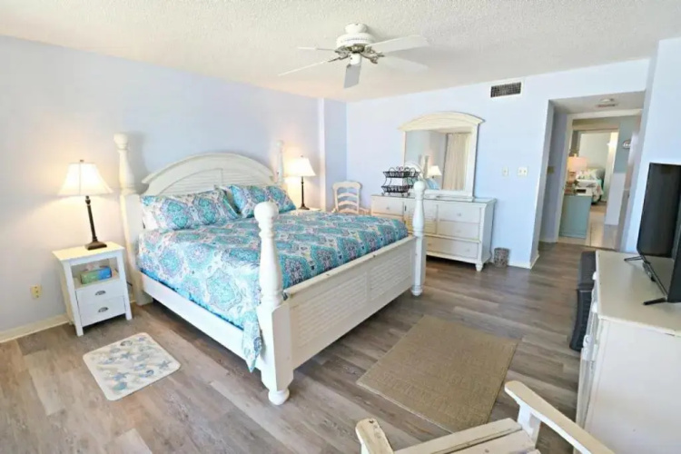Sand Dollar 2-302