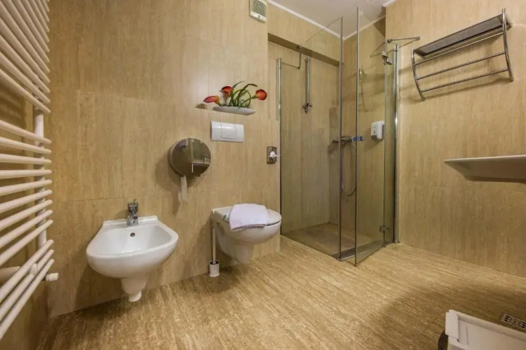 Standard Apartment with balcony