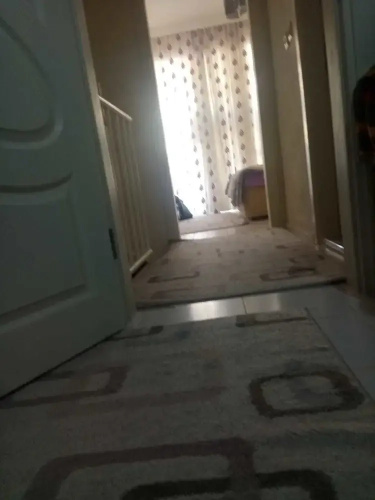 Kamelya Tatil Evi
