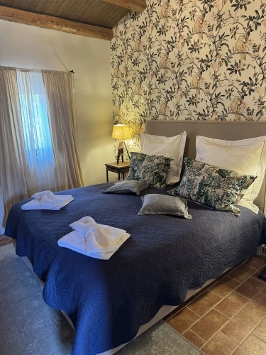 Deluxe Double room with mountain view