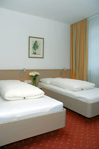 Standard Twin room with view