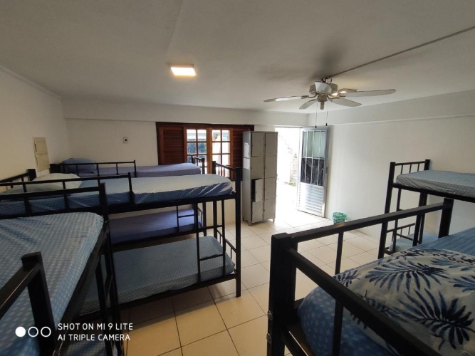 Bed in Dorm