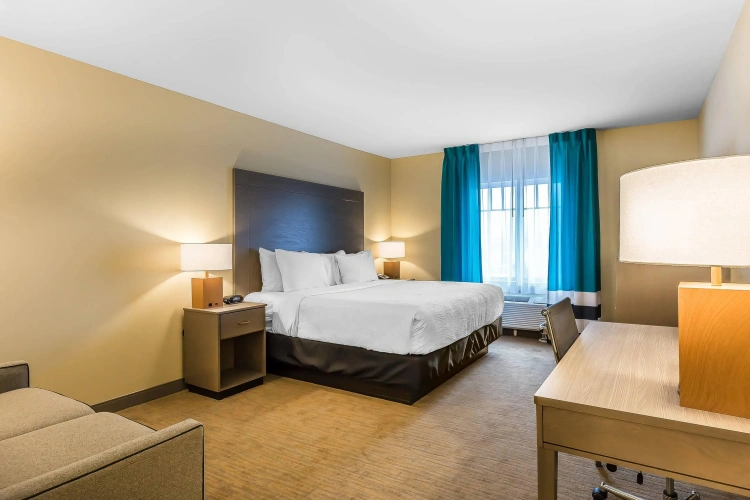 Standard Double room