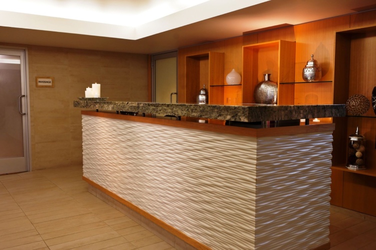 Renaissance Chicago Downtown Hotel photo 44