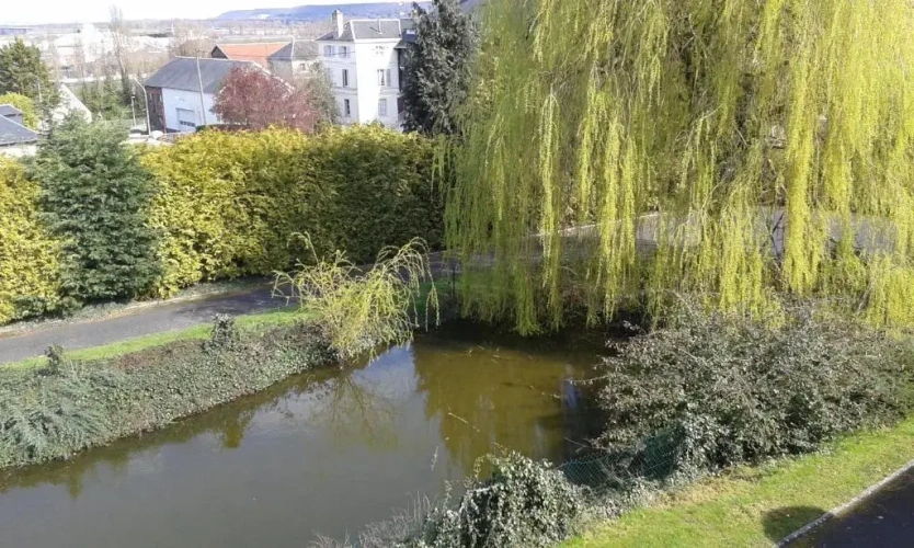 Standard Double room with garden view
