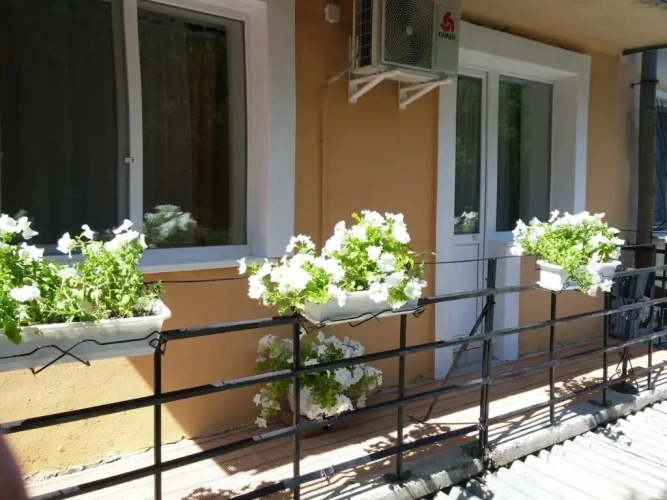 1 Bedroom Apartment with balcony and with view