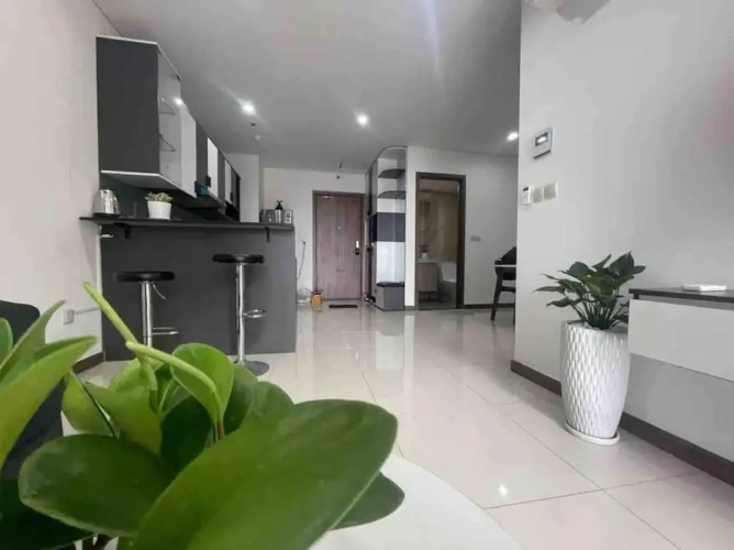 1 Bedroom Superior Apartment with balcony and with city view