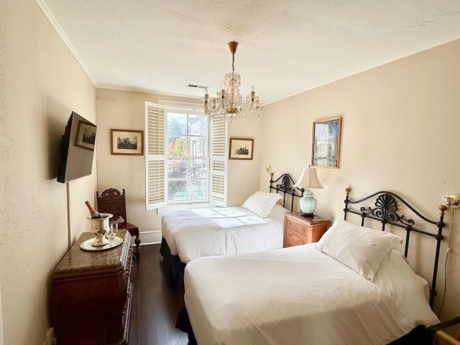 Deluxe Twin room