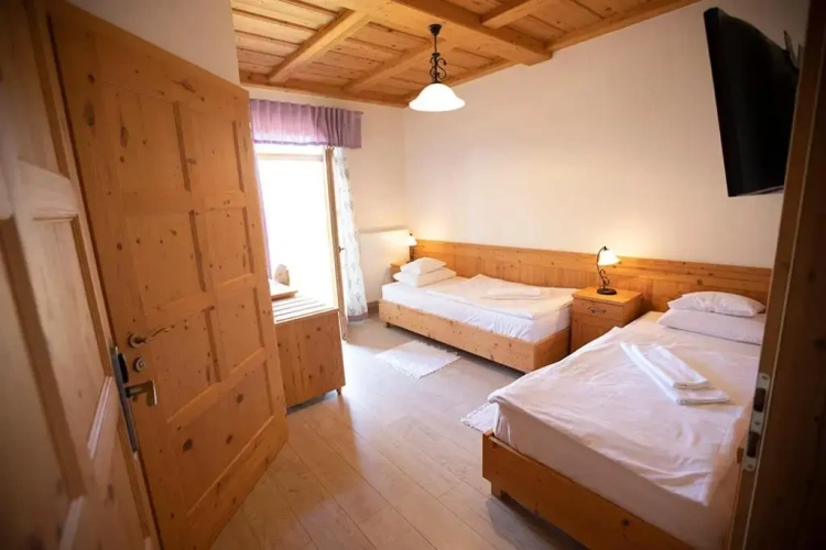 Standard Twin room with garden view