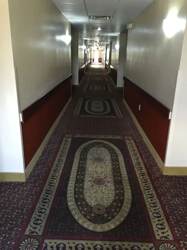 Super 8 Intercontinental Houston Tx
