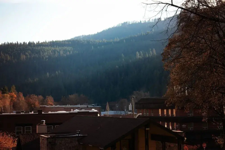 White Pine Motel