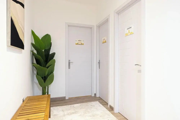 The Luxury Downtown Co-living