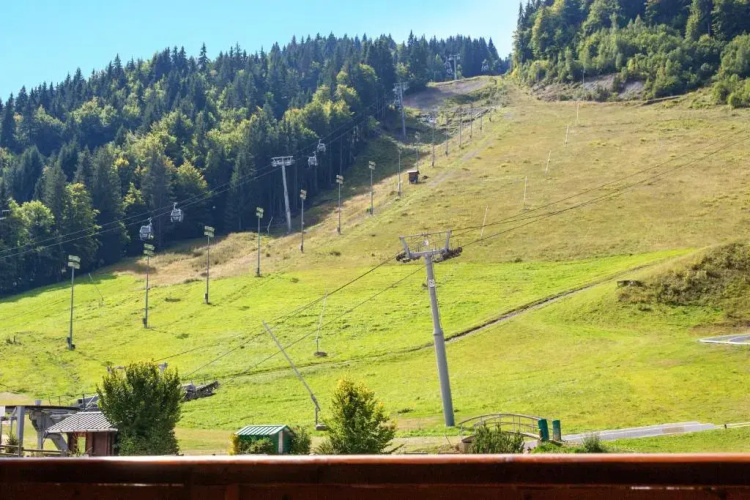 Simply Morzine - Chalet Carving