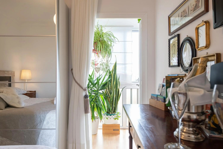 Orchidea Home