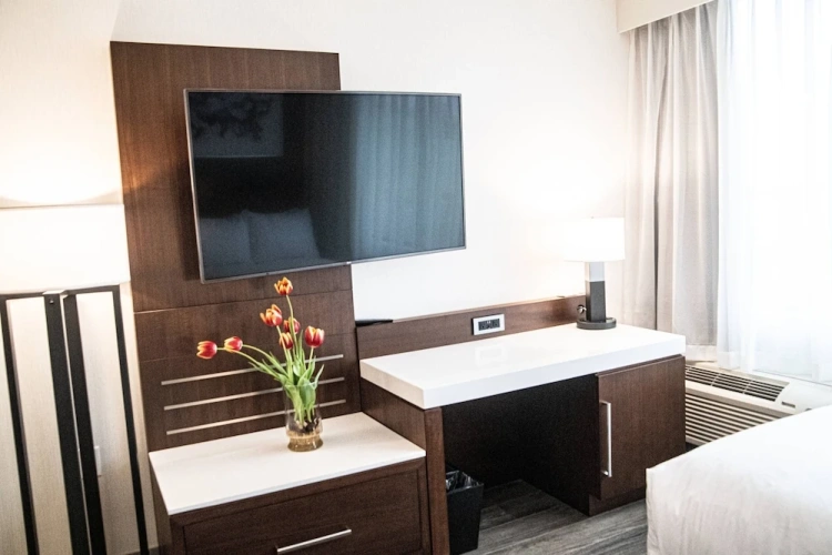 1 Bedroom Junior Suite