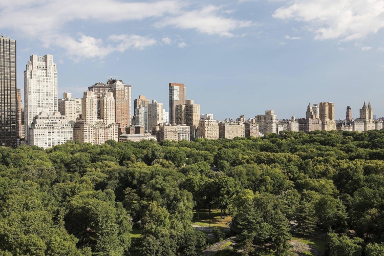 The Ritz-carlton New York, Central Park photo 28
