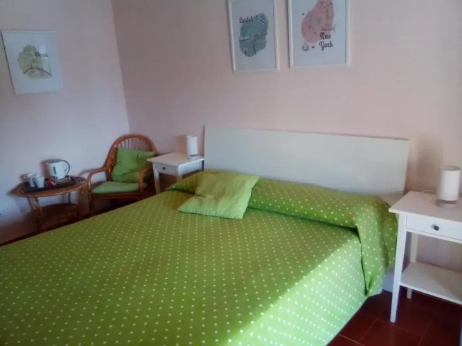 Standard Double room with balcony and with sea view