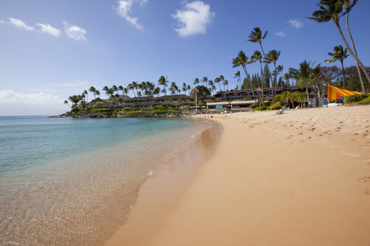 Napili Kai Beach Resort photo 10