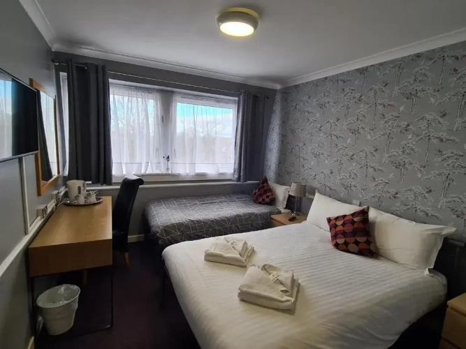 Standard Twin room