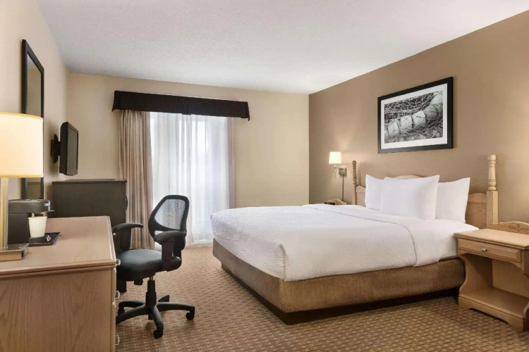 2 Bedrooms Deluxe Quadruple Suite