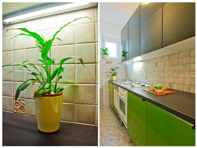 1 Bedroom Apartment