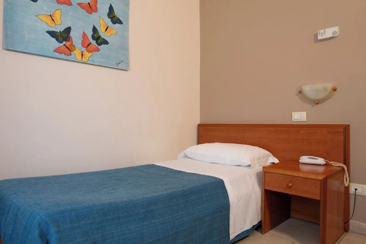 Classic Single room