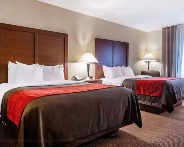 Standard Double room