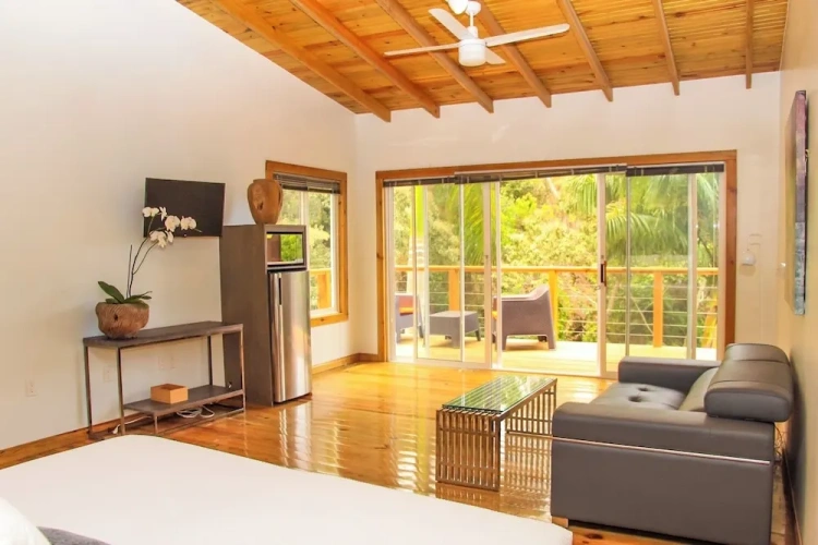 1 Bedroom Standard Suite with balcony and with view