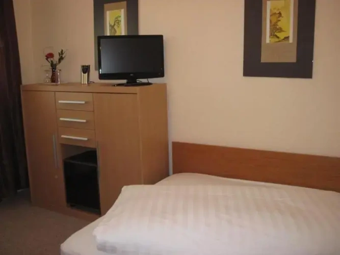Standard Single room with park view