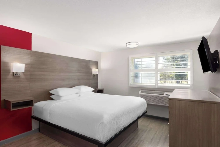 Pet Friendly Double room