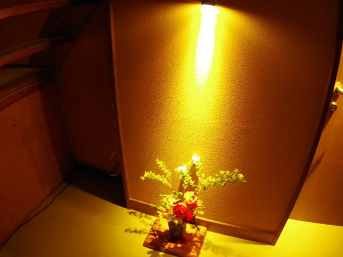 Ryokan KatsurasoOver view