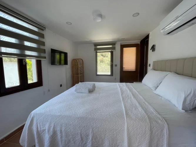 Standard Double room with balcony and with mountain view