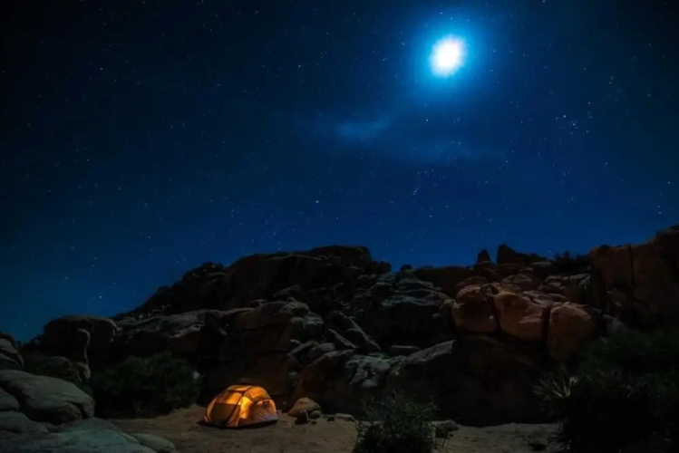 Nature Inn