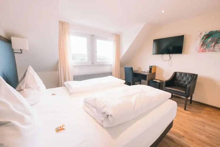 Standard Double room with balcony and with garden view
