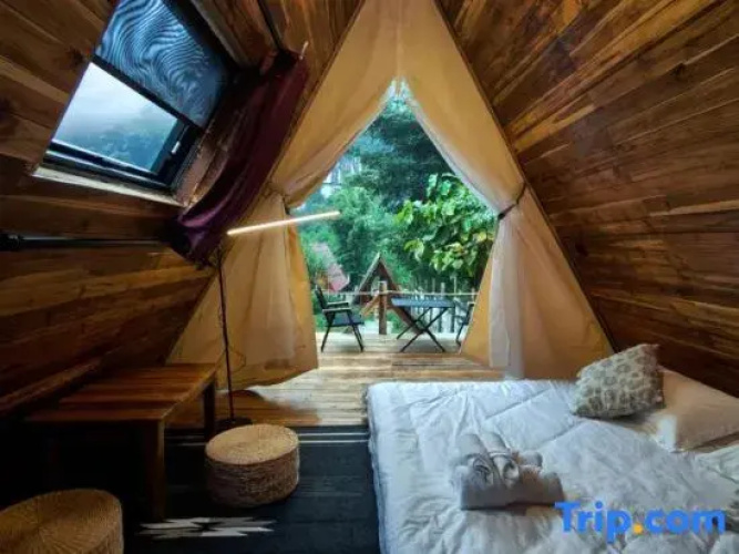 Mimosa Backpackers Hostel